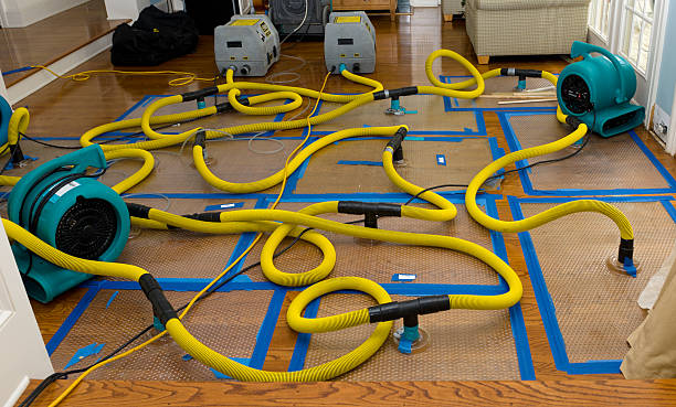 Professional Crawl Space Water Removal technician working in Allenton, MI